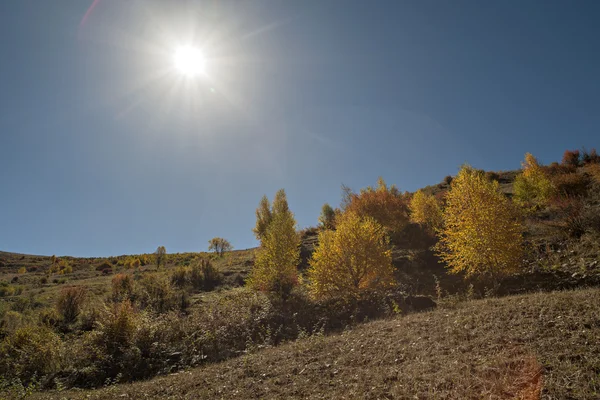 Utumn landschap — Stockfoto