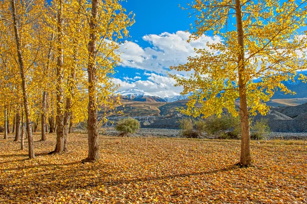 Paesaggio — Foto Stock