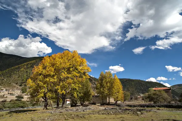 Paisaje — Foto de Stock