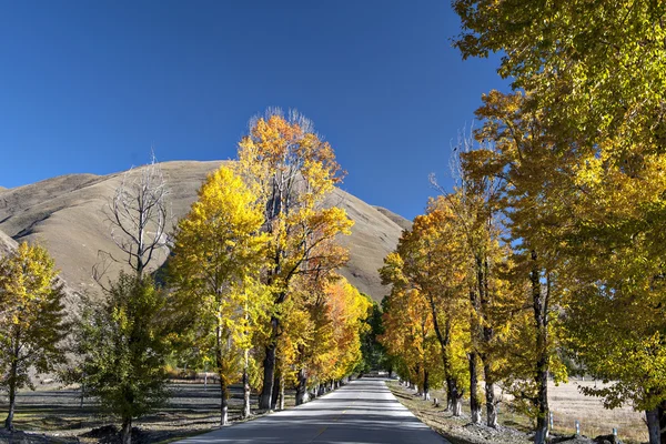 Paesaggio — Foto Stock