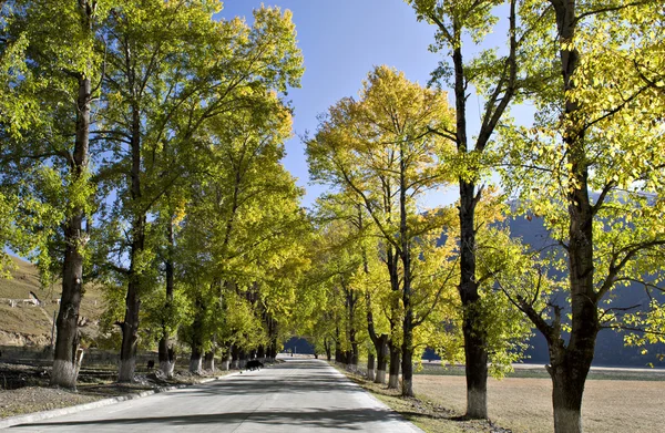 Paesaggio — Foto Stock