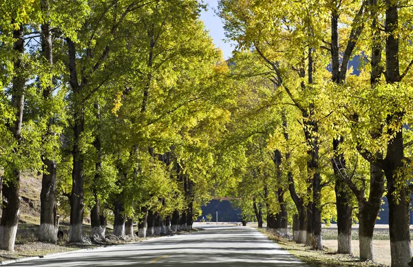 Paesaggio — Foto Stock