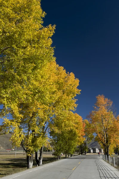 Landscape — Stock Photo, Image