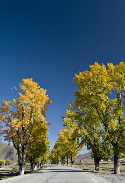 Landscape — Stock Photo, Image