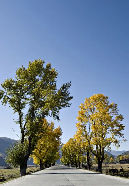 Paesaggio — Foto Stock