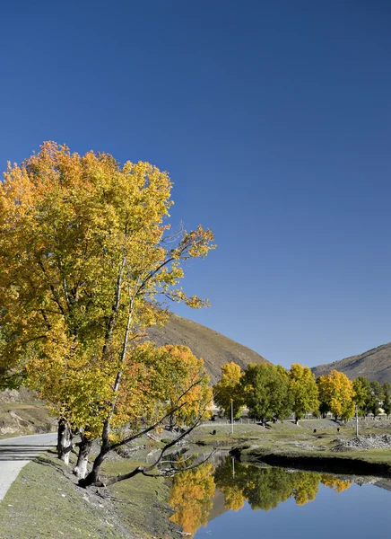 Manzara — Stok fotoğraf