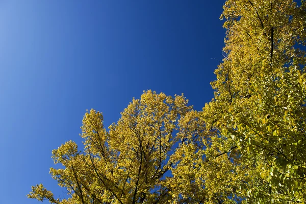 Paisaje — Foto de Stock