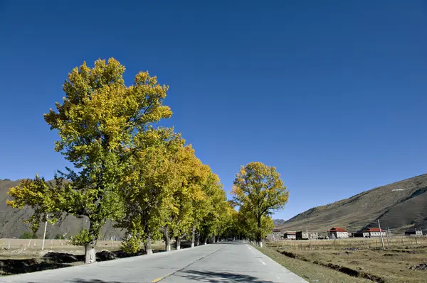 Paisagem — Fotografia de Stock