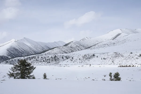 Bellissimo paesaggio. — Foto Stock