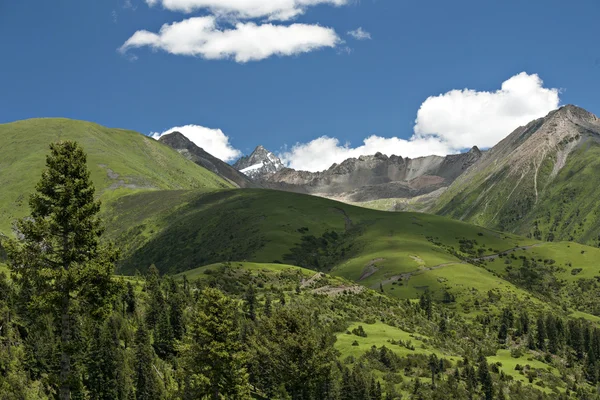 Landscape — Stock Photo, Image