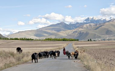 güneşin altında eve gitmek yats dönmek.