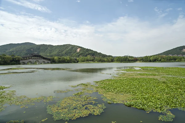 公园景观 — 图库照片