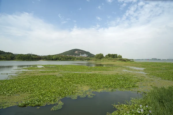 A paisagem do parque — Fotografia de Stock