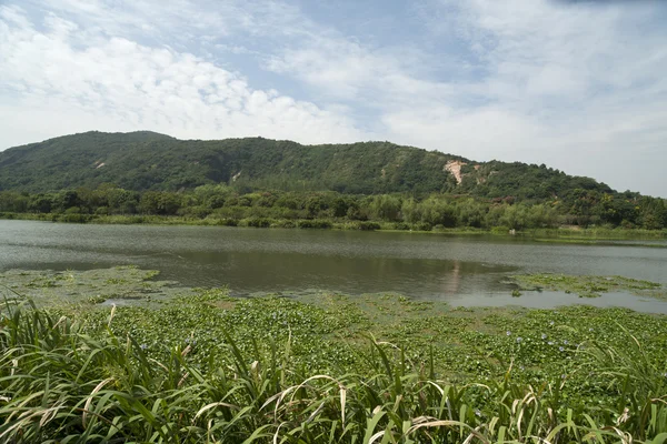 A paisagem do parque — Fotografia de Stock