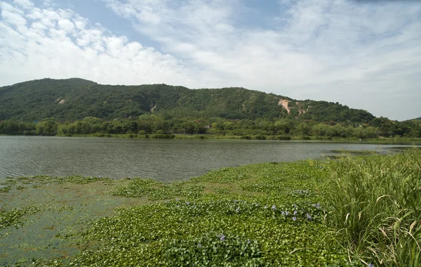 A paisagem do parque — Fotografia de Stock