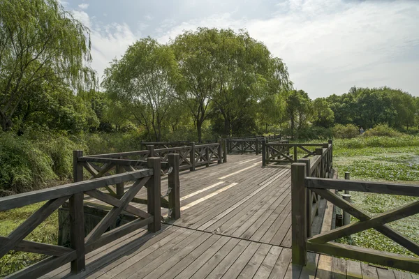 A paisagem do parque — Fotografia de Stock