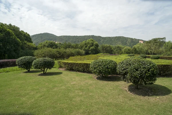 The park landscape — Stock Photo, Image