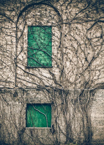 Overgrown abandoned building — Stock Photo, Image
