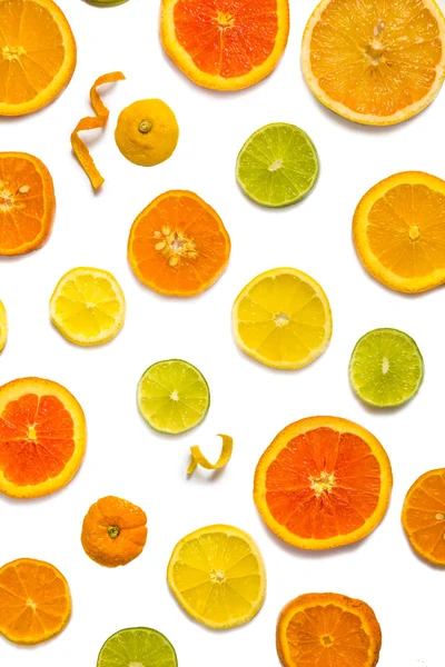 Citrus Fruit Design — Stock Photo, Image