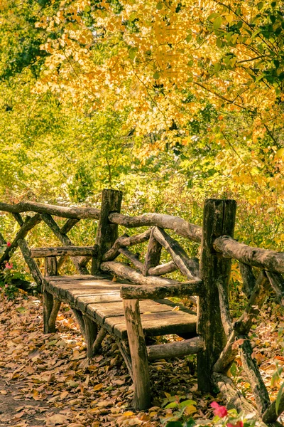 Herfst Bench Central Park Nyc — Stockfoto