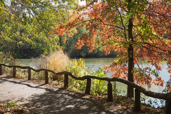 Central Park Nyc — Stock fotografie