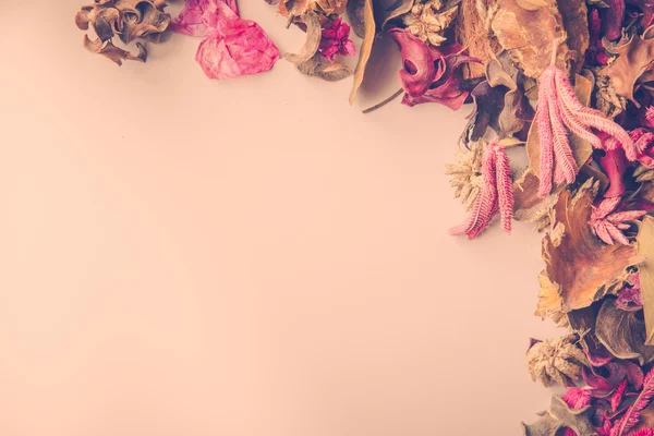 Gedroogde bloem decor — Stockfoto