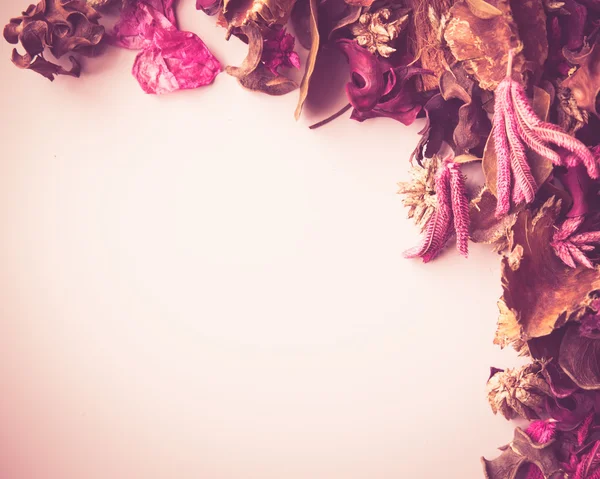Gedroogde bloem decor — Stockfoto