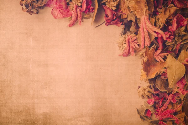 Dried Flower Backdrop — Stock Photo, Image