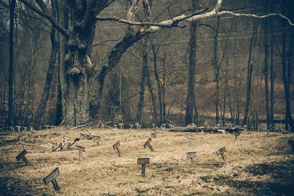 Inverno de cemitério desolado — Fotografia de Stock