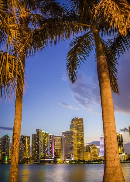 Miami florida ABD — Stok fotoğraf