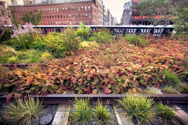 El Parque High Line de Nueva York — Foto de Stock
