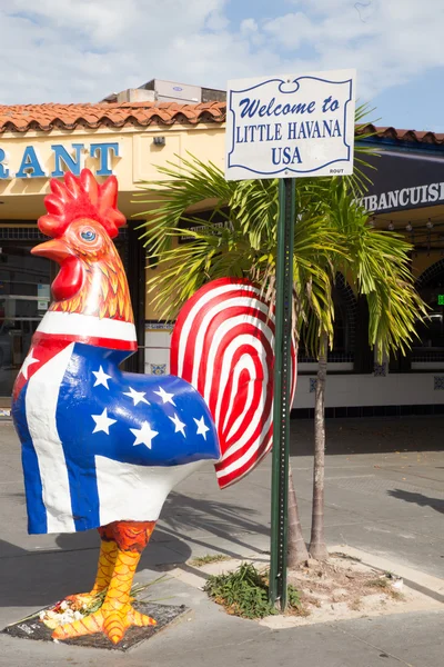 Petit coq de La Havane — Photo