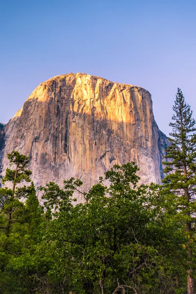 Yosemite El capitaine — Photo