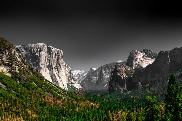 Parc sombre de Yosemite — Photo