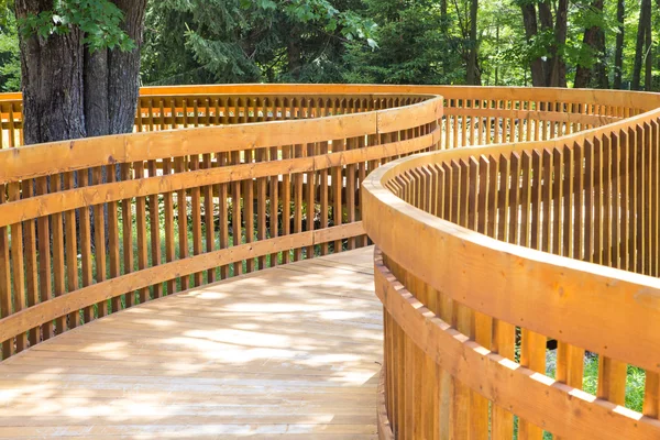 Sentiero ponte di legno — Foto Stock