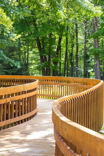 Wood deck path — Stock Photo, Image