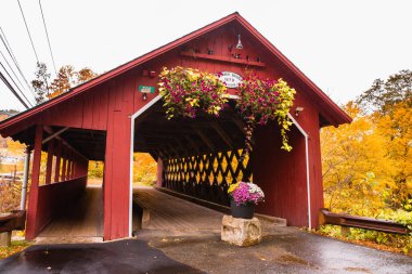 Renkli sonbahar yapraklarıyla çevrili güzel Vermont köprüsü.