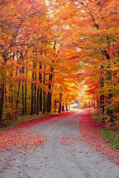 Schöne Herbstliche Landstraße Umgeben Von Buntem Herbstlaub Stockbild