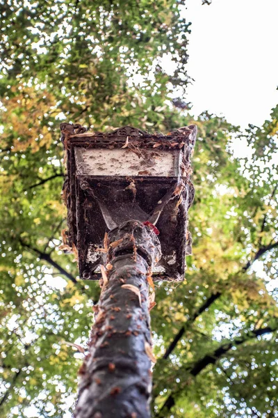 Très Vieux Lampadaire Avec Rouille Pourriture — Photo