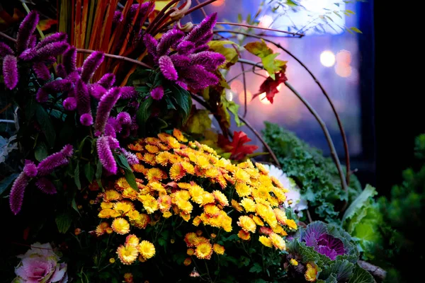 カラフルな花の配置のイメージ — ストック写真