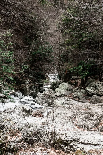 Paisaje Frío Invierno Bish Bash Falls Frontera Nueva York Massachusetts —  Fotos de Stock