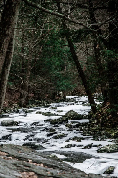 Kallt Vinterlandskap Vid Bish Bash Falls New York Och Massachusetts — Stockfoto