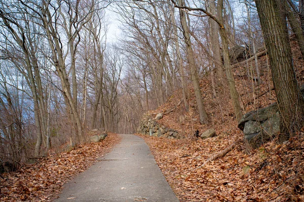 Winterwouden Van Kale Bomen Wandelpad Door Bos Upstate New York — Stockfoto