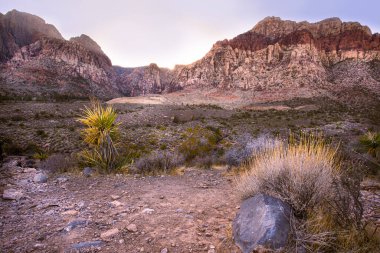 Nevada 'daki Mojave Çölü' nden güzel manzara
