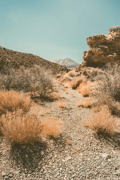 Bela Paisagem Vista Deserto Mojave Nevada — Fotografia de Stock