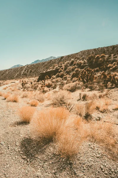 Όμορφο Τοπίο Από Mojave Desert Στη Νεβάδα — Φωτογραφία Αρχείου