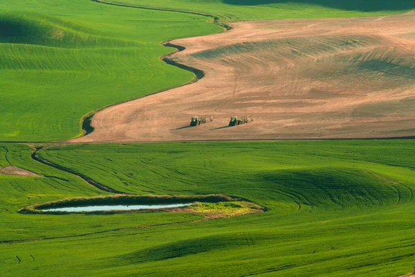 ワシントン州の宮殿から見た農地小麦畑の緑の丘陵米国 — ストック写真