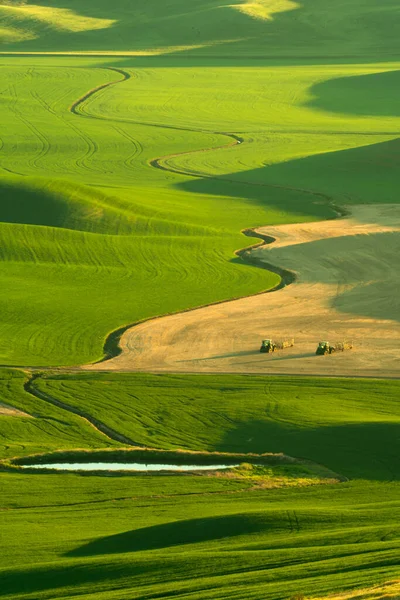 Зелёные Катящиеся Холмы Пшеничных Полей Фермерских Хозяйств Наблюдаемые Палуза Штате — стоковое фото
