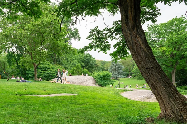 New York City Juni 2021 Utsikt Över Central Park Manhattan — Stockfoto