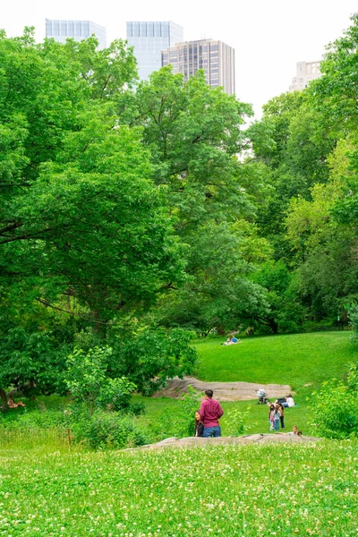 2021年6月12日 纽约市 一个星期六下午 曼哈顿中央公园的景观 人们可以参观和放松 — 图库照片